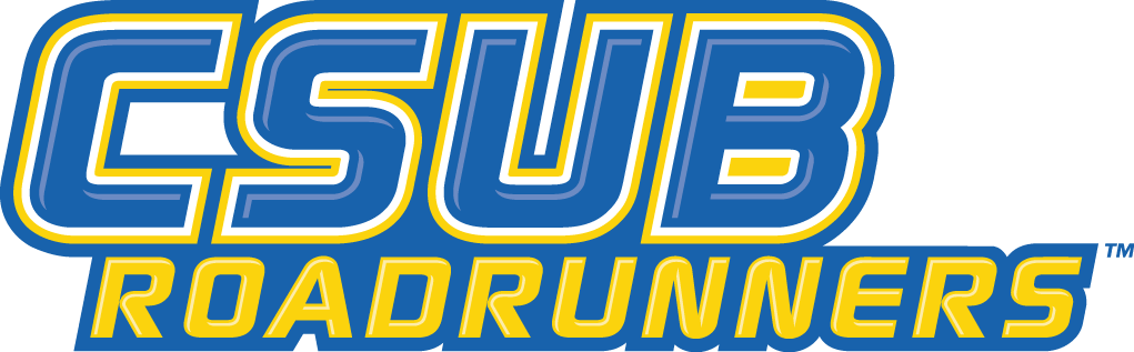 CSU Bakersfield Roadrunners 2006-Pres Wordmark Logo 04 iron on paper